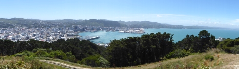 Wellington harbour looking stunning from the top of Mount Victoria. No filters needed, all natural beauty here. © Jess Bruce 2016